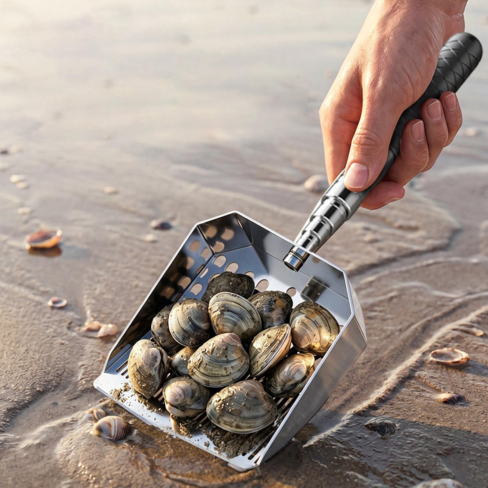 Sandsieb aus Edelstahl, Sandsi – Sand Scoop Stainless Steel Beach Digging Bewertung und Preis