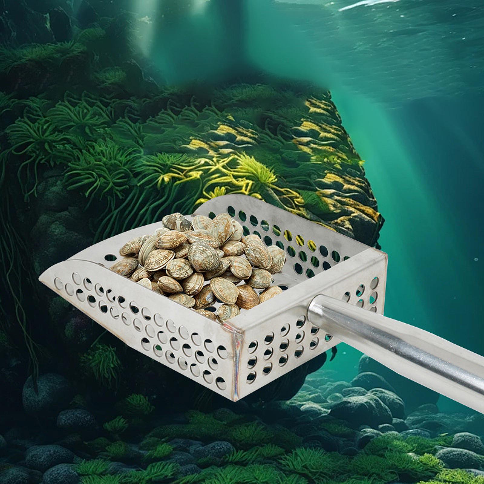 Sandschaufel, handgehalten, be – Sand Scoop Stainless Steel Beach Digging Bewertung und Preis